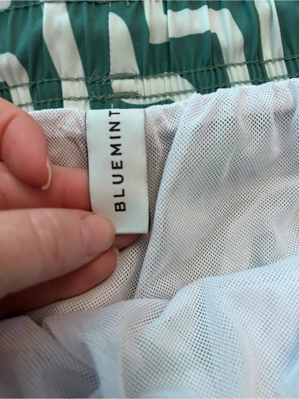 Bluemint arthus swim